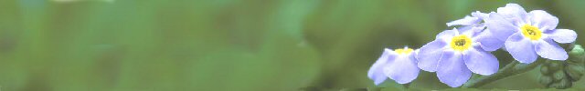 http://vonmetz.com/amnesiac/banner02.jpg